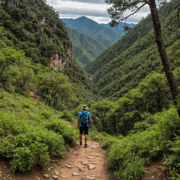 Quels sont les meilleurs sentiers pour une randonnée dans les montagnes de la Sierra Madre, Mexique : équipements et itinéraires ?
